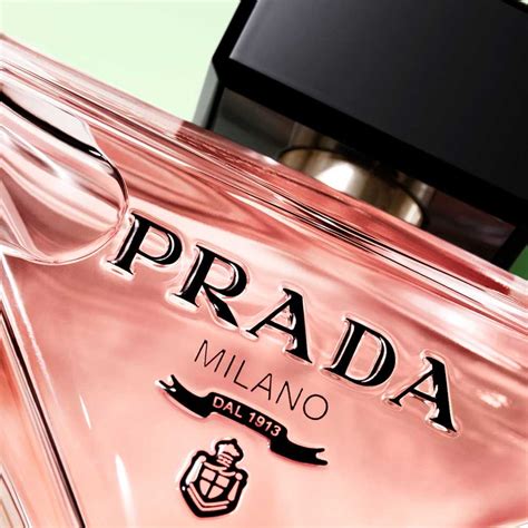 prada profumo donna|paradoxe fragranza Prada.